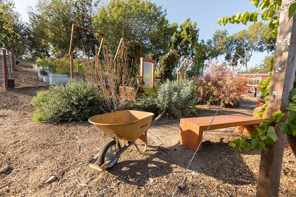 The Heritage Garden at Concordia enjoys a wide-open space on the hillside.