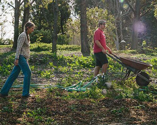 Interest Blooms in the Heritage Garden