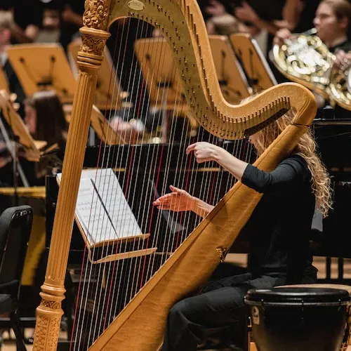 Image of a musician with an instrument.